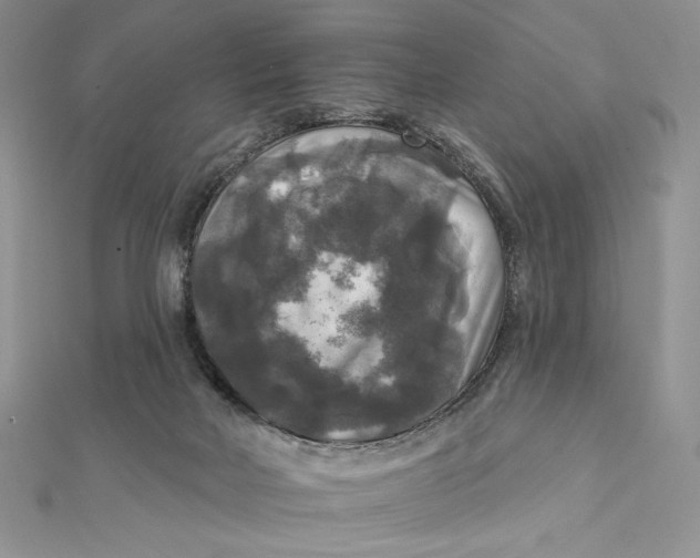 X0000112350026200909031859