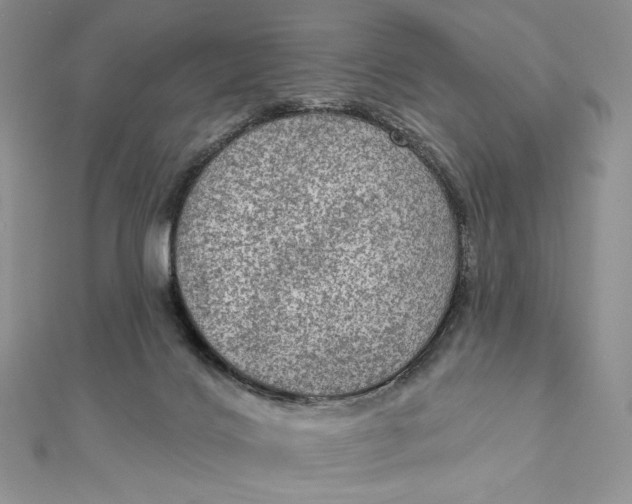 X0000112350028200909031859