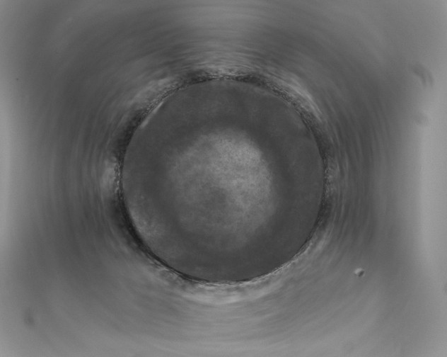 X0000112350029200909031859