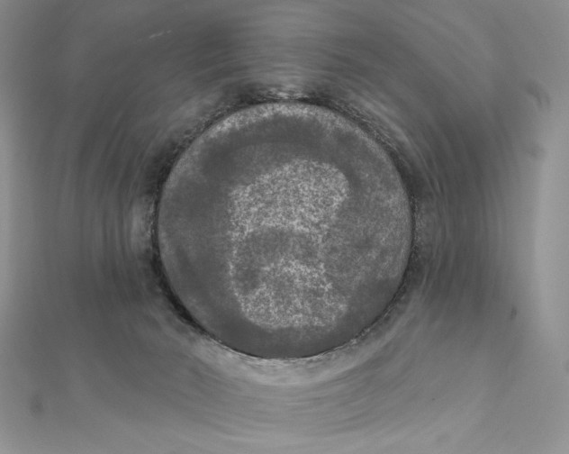 X0000112350030200909031859