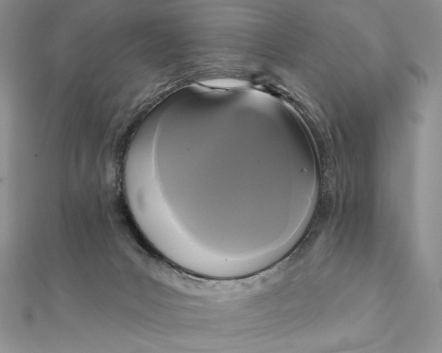 X0000112350031200909031859