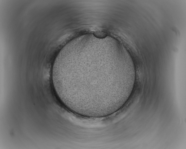 X0000112350032200909031859