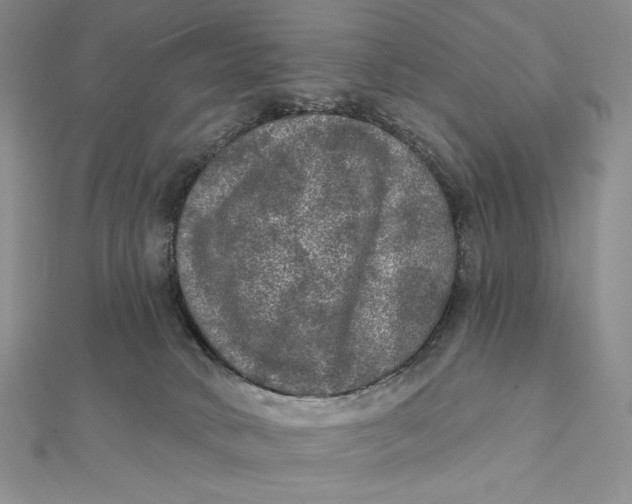 X0000112350034200909031859