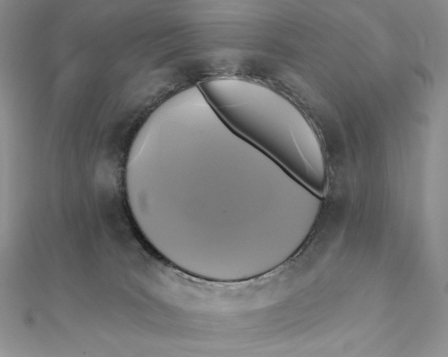 X0000112350035200909031859