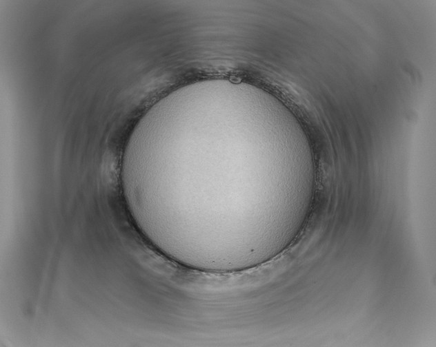 X0000112350037200909031858