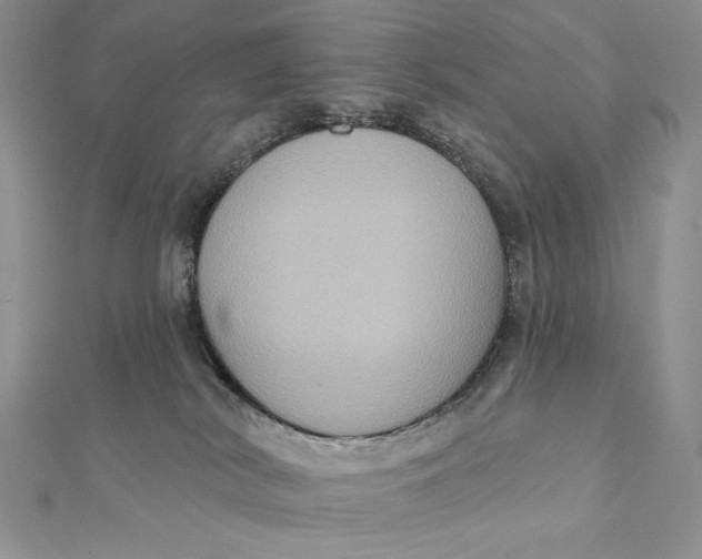 X0000112350038200909031858