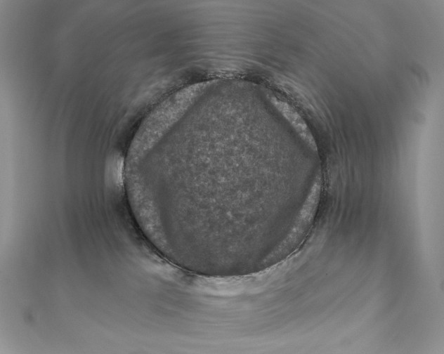 X0000112350041200909031858