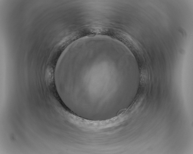 X0000112350043200909031858