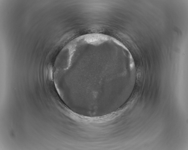 X0000112350046200909031858