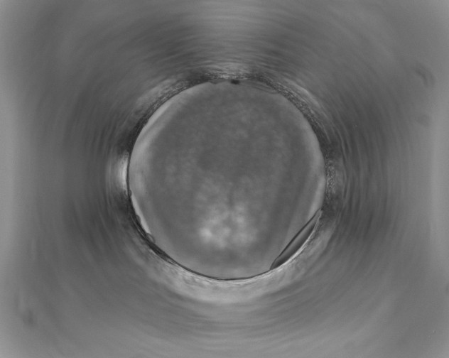 X0000112350047200909031858