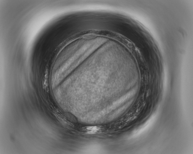 X0000112350050200909031858