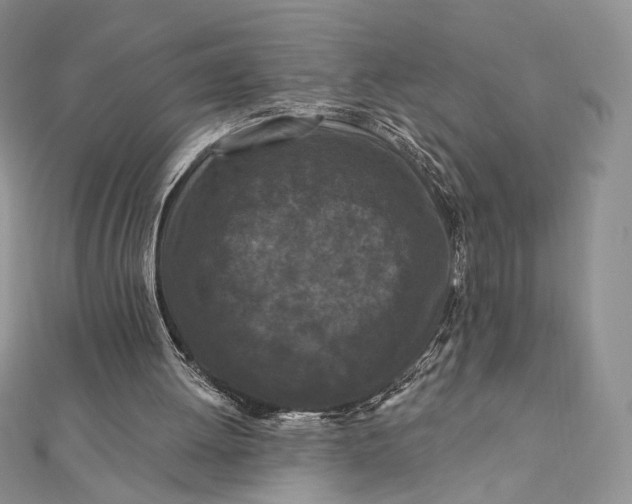 X0000112350052200909031858