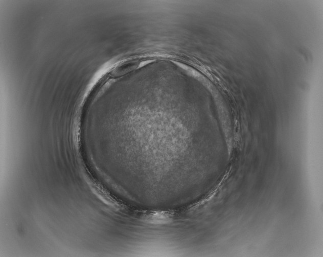 X0000112350056200909031858