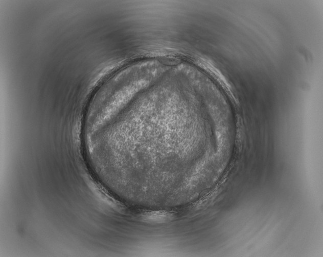 X0000112350058200909031858