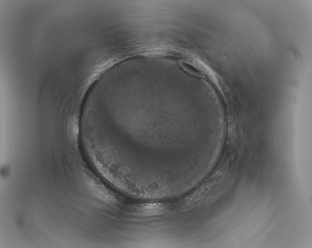 X0000112350059200909031858