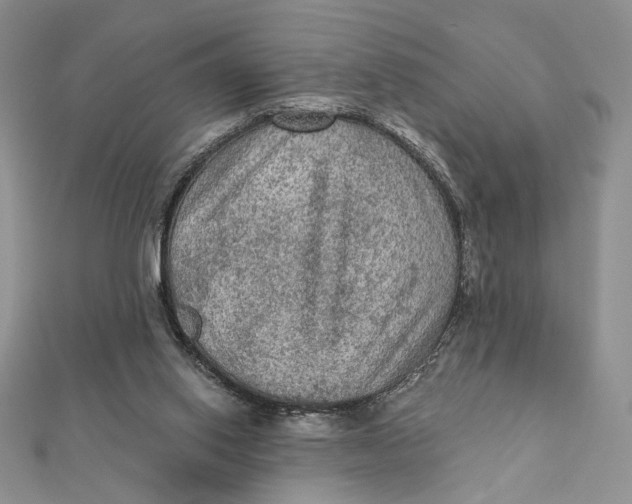 X0000112350062200909031858