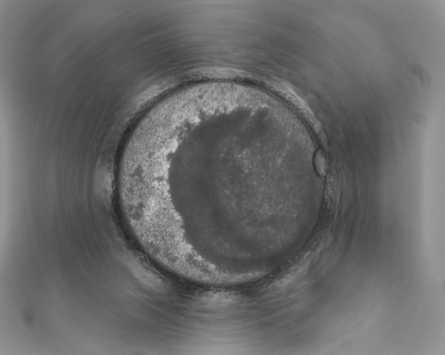 X0000112350063200909031858