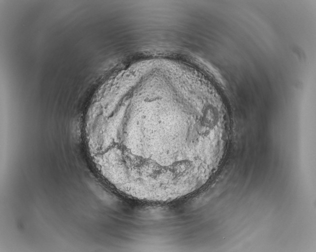 X0000112350065200909031858