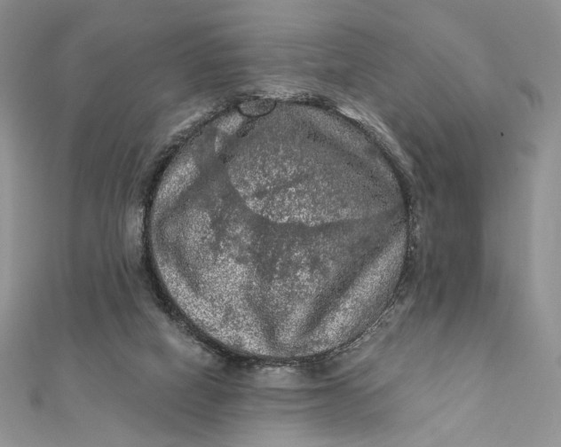 X0000112350066200909031858