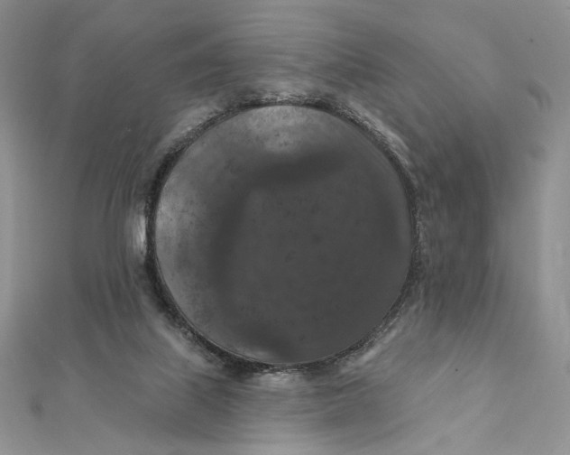 X0000112350067200909031858