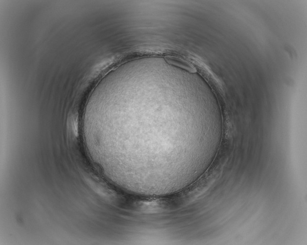 X0000112350068200909031858