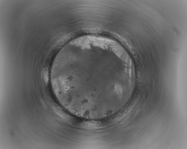 X0000112350069200909031858