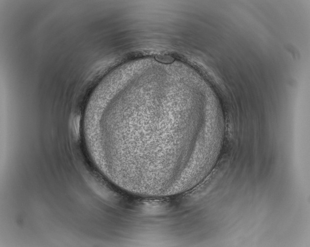 X0000112350070200909031858