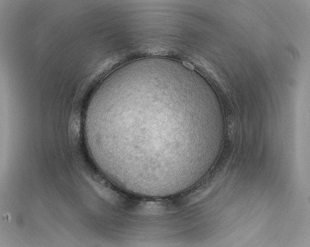 X0000112350072200909031858