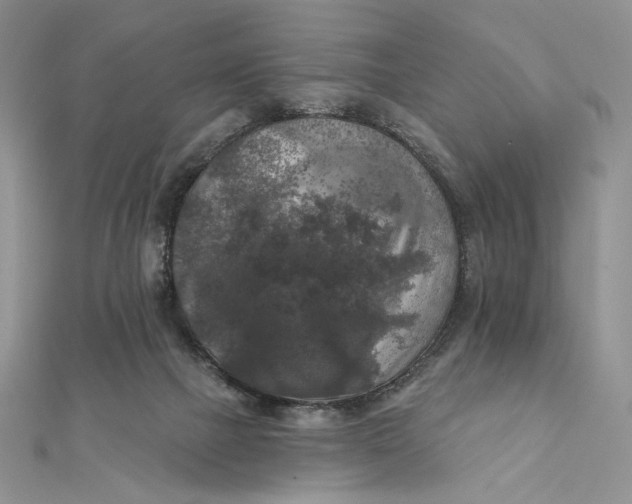 X0000112350073200909031858