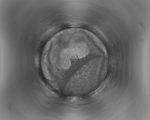 X0000112350074200909031858