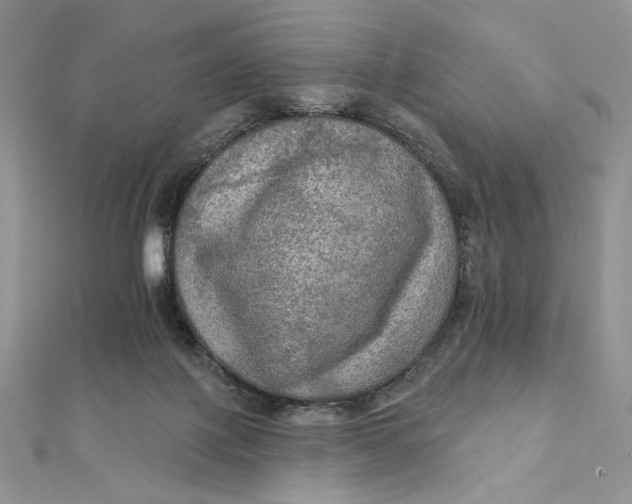 X0000112350075200909031858