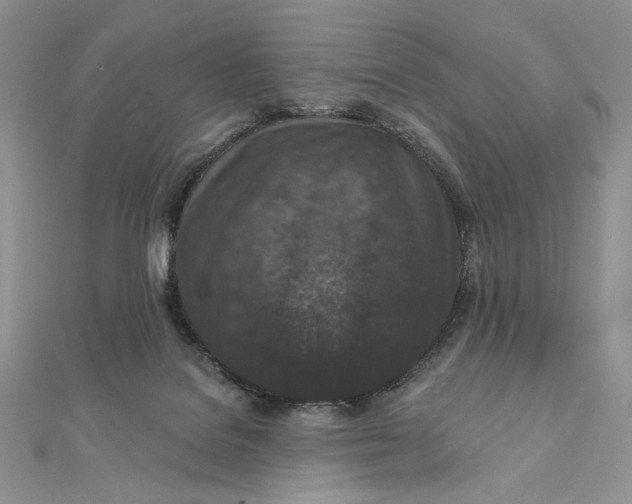 X0000112350076200909031858