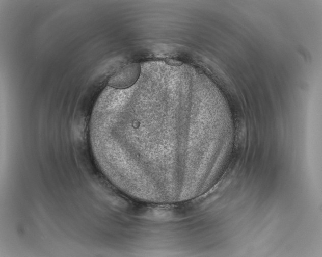 X0000112350078200909031858