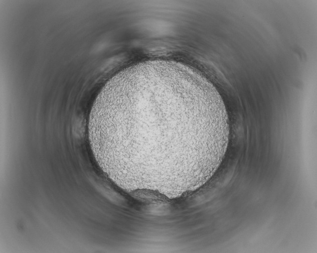 X0000112350081200909031858