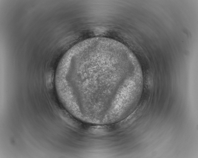 X0000112350082200909031858