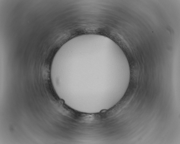 X0000112350083200909031858