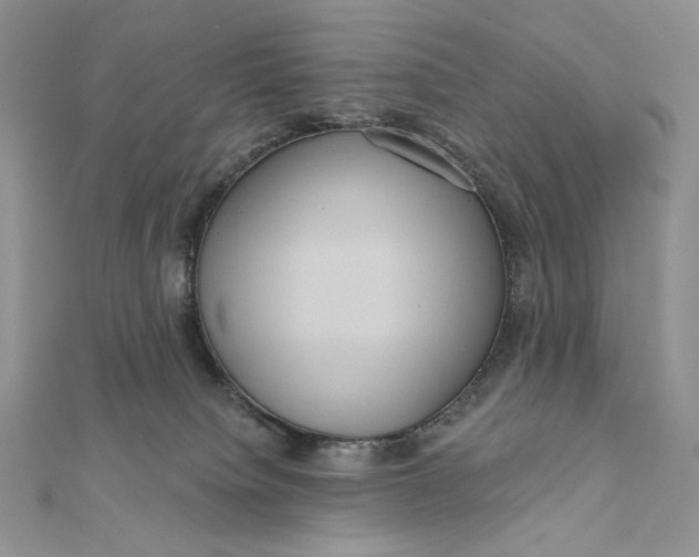 X0000112350084200909031858