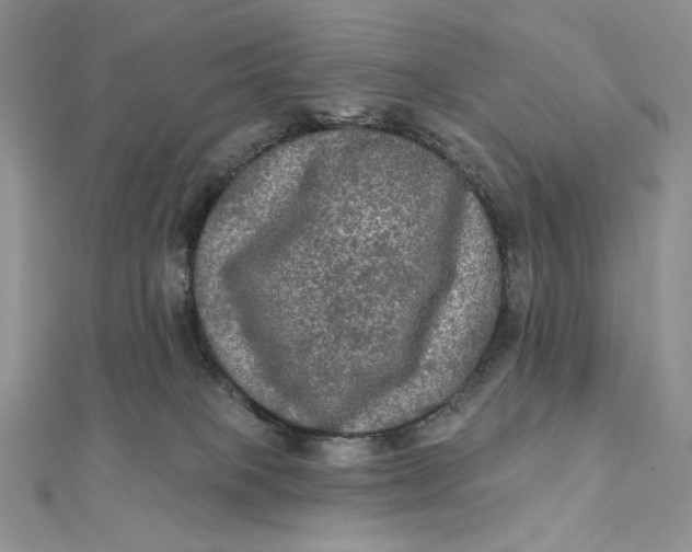 X0000112350085200909031858