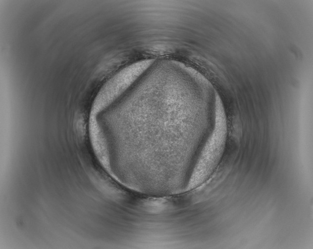 X0000112350086200909031858