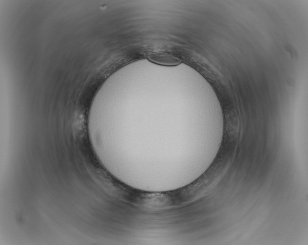 X0000112350087200909031858