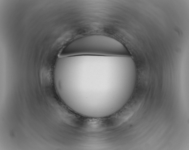 X0000112350088200909031858