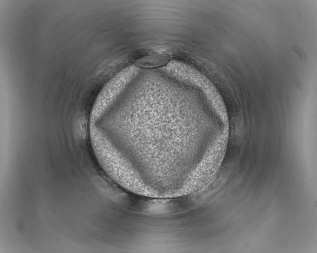 X0000112350090200909031858