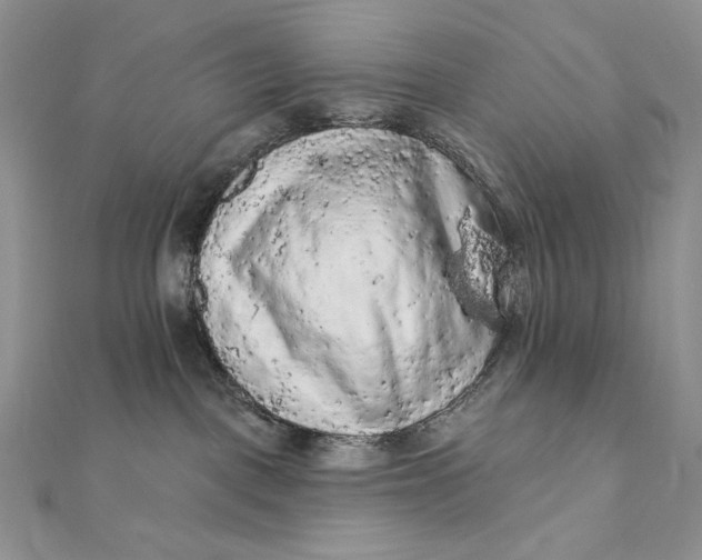 X0000112350093200909031858