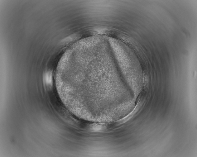 X0000112350094200909031858