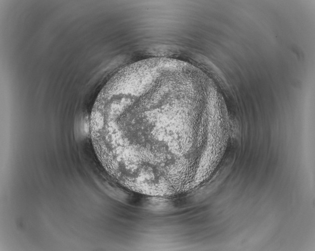 X0000112350095200909031858