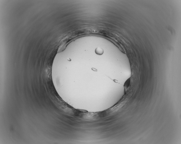 X0000112350096200909031858