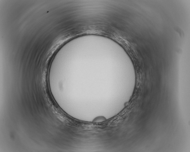 X0000112350098200909031858