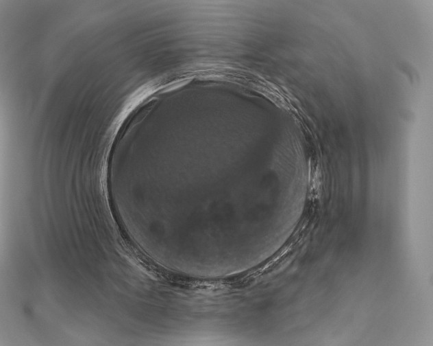 X0000112350099200909031858