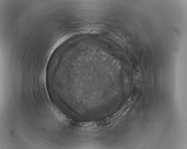 X0000112350100200909031858