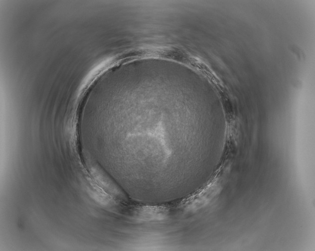 X0000112350101200909031858